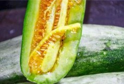 有哪些网红被吃瓜,盘点那些因吃瓜事件引发热议的明星